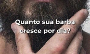 barba miniatura
