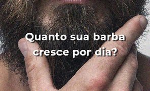 barba miniatura