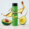 shampoo abacate e oliva 1